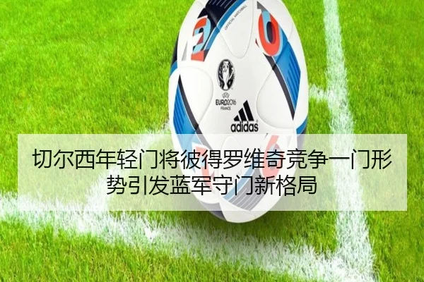 切尔西年轻门将彼得罗维奇竞争一门形势引发蓝军守门新格局