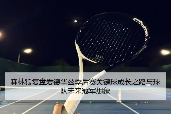 森林狼复盘爱德华兹季后赛关键球成长之路与球队未来冠军想象