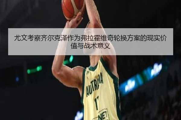 尤文考察齐尔克泽作为弗拉霍维奇轮换方案的现实价值与战术意义